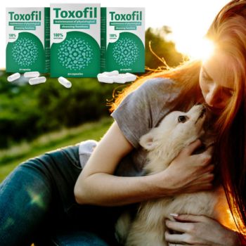 Toxofil