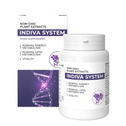 InDiva System Bulgaria